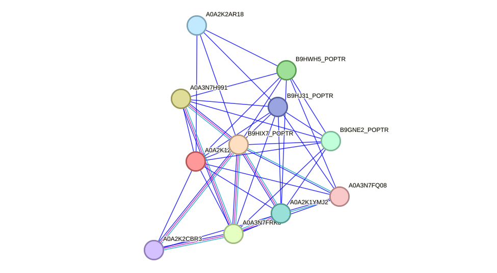 STRING protein interaction network