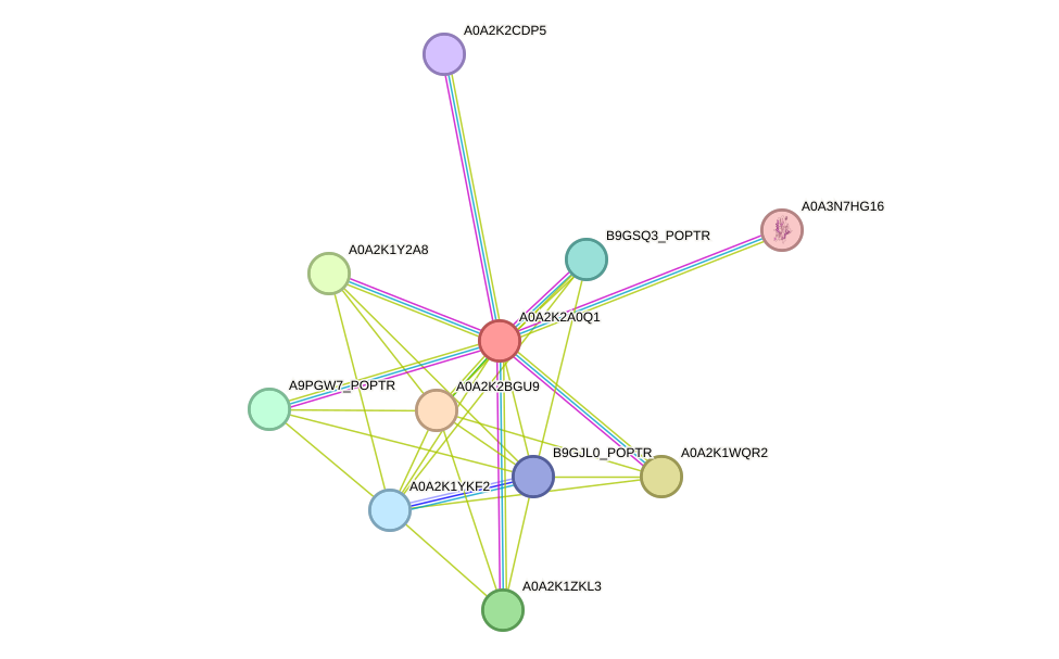 STRING protein interaction network