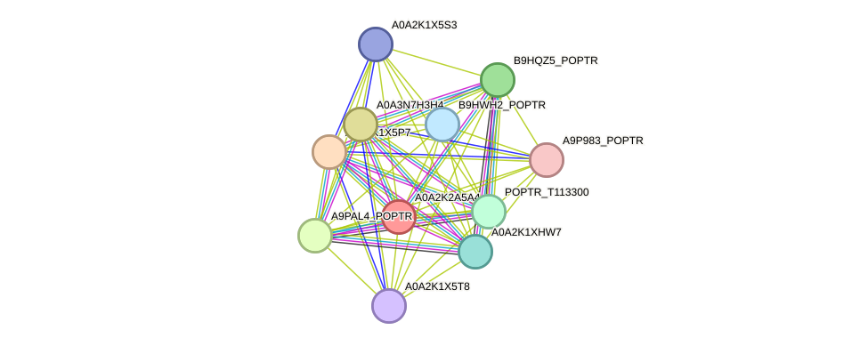 STRING protein interaction network