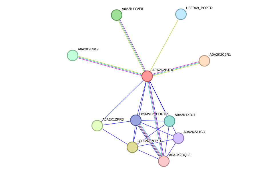 STRING protein interaction network