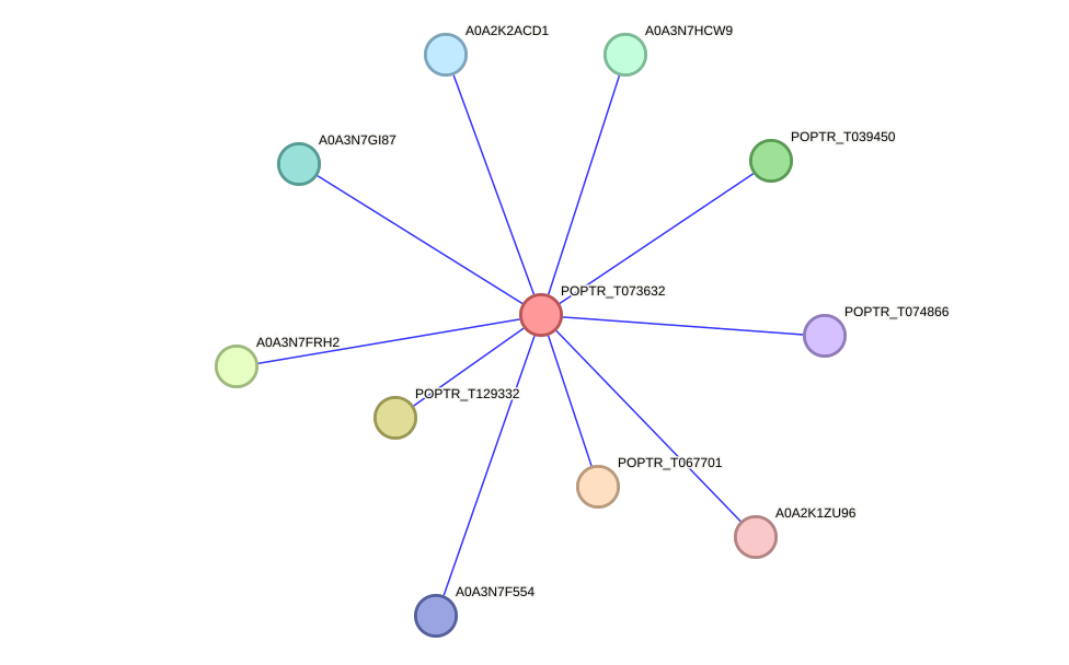 STRING protein interaction network