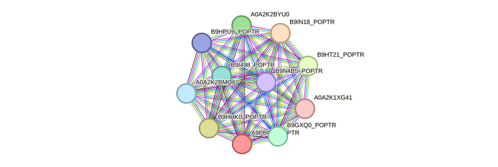 STRING protein interaction network