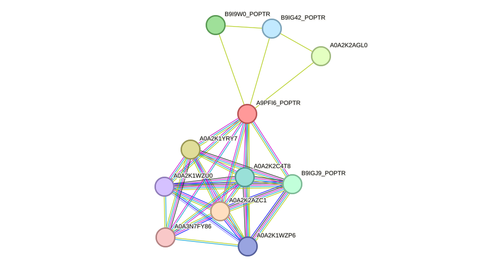 STRING protein interaction network