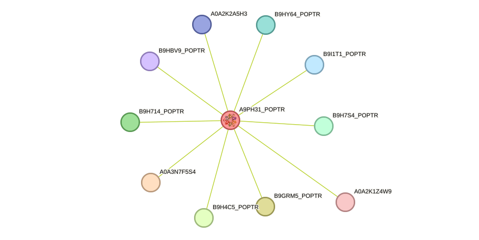 STRING protein interaction network