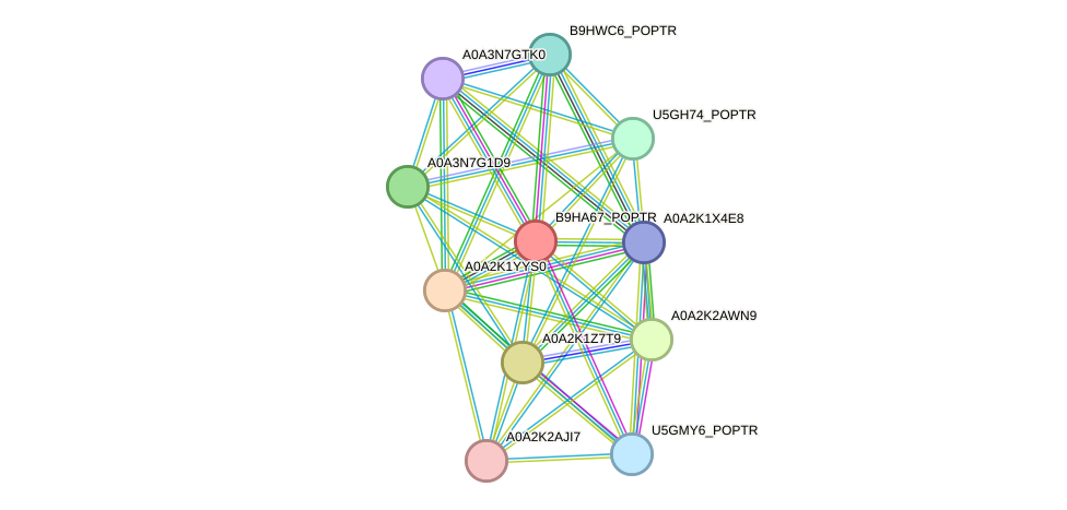 STRING protein interaction network