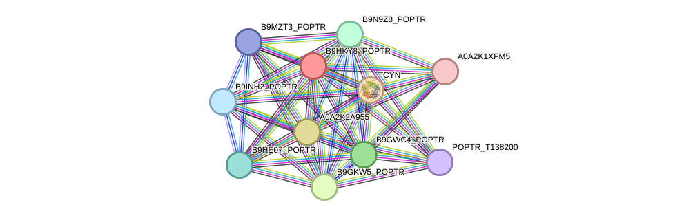 STRING protein interaction network