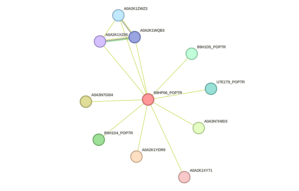 STRING protein interaction network