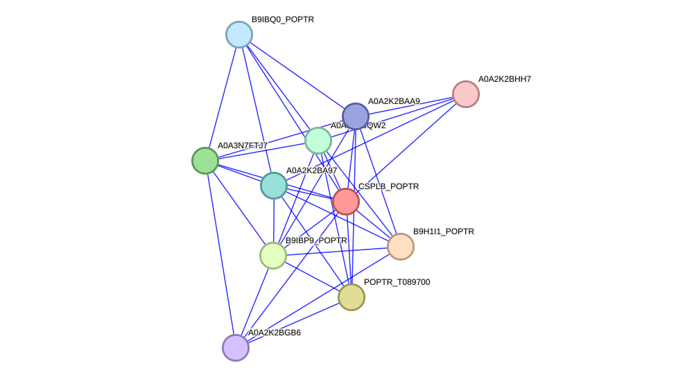 STRING protein interaction network