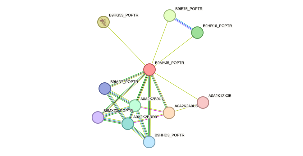 STRING protein interaction network