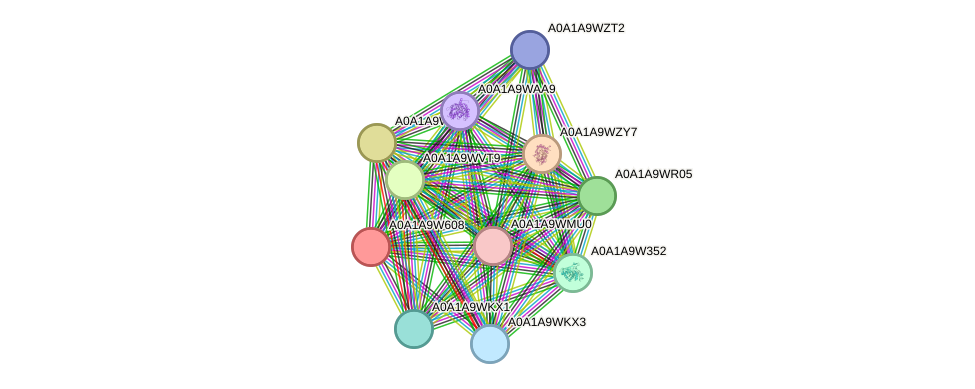 STRING protein interaction network