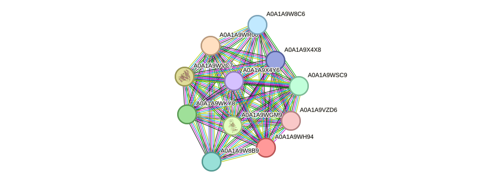 STRING protein interaction network