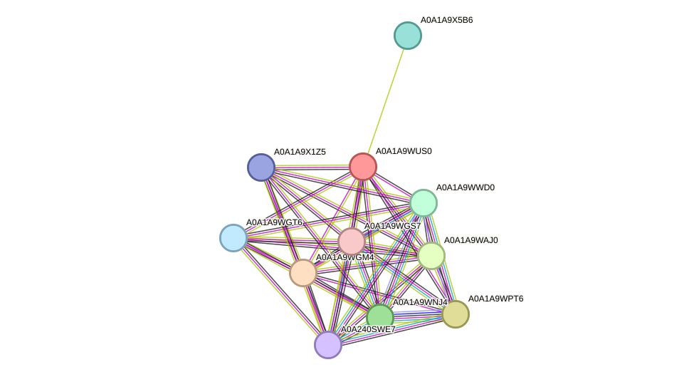 STRING protein interaction network