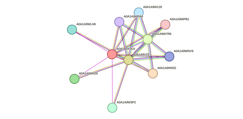 STRING protein interaction network