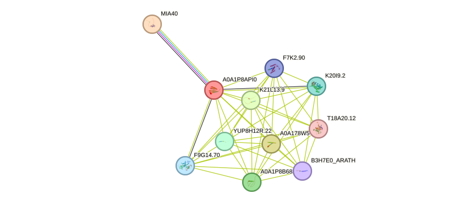 STRING protein interaction network