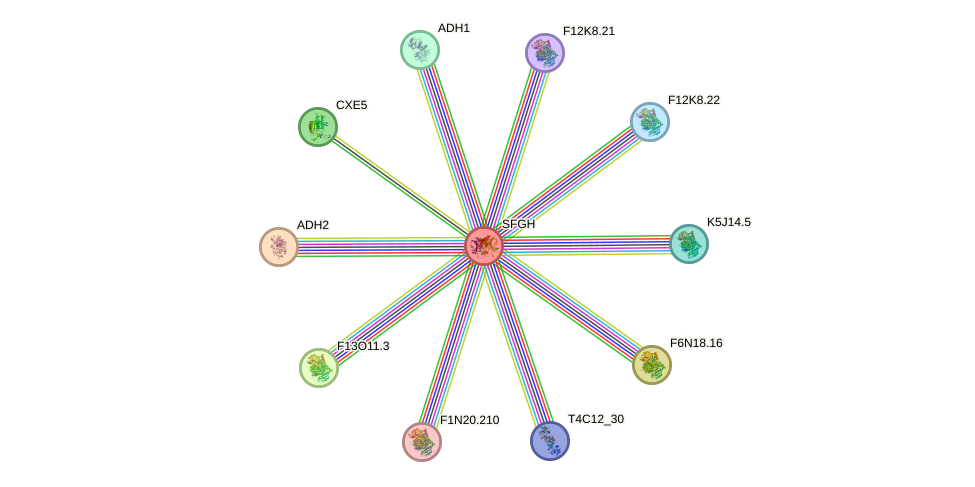 STRING protein interaction network