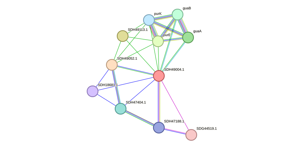 STRING protein interaction network