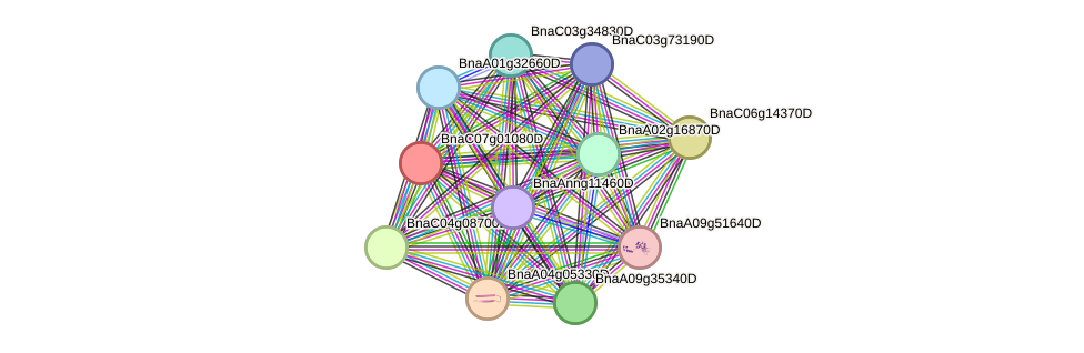 STRING protein interaction network