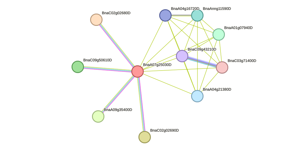 STRING protein interaction network