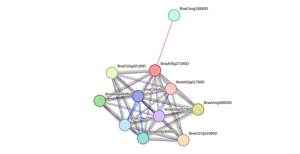 STRING protein interaction network