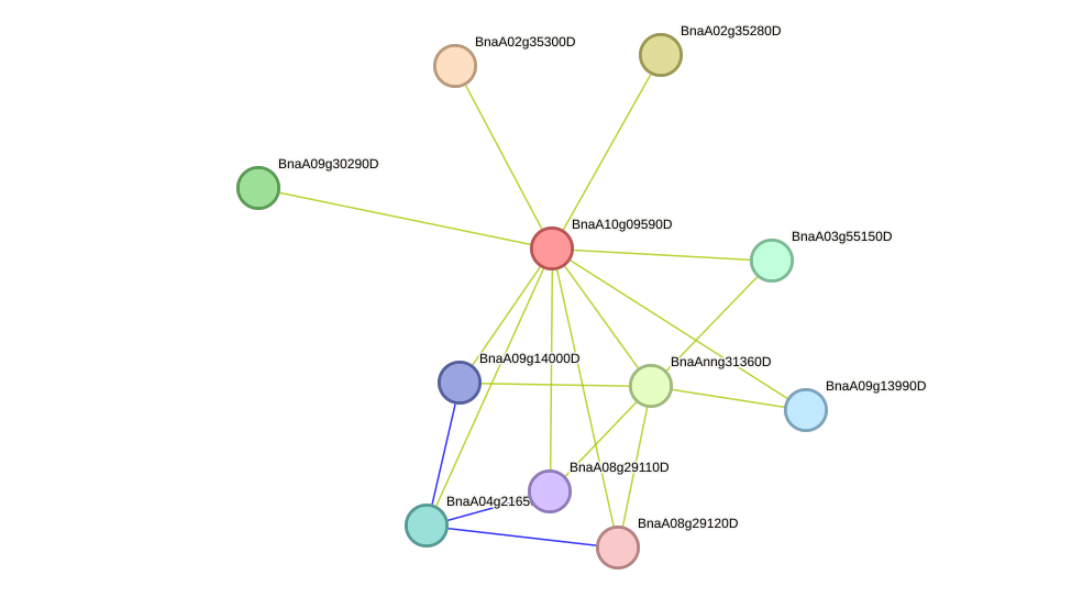 STRING protein interaction network