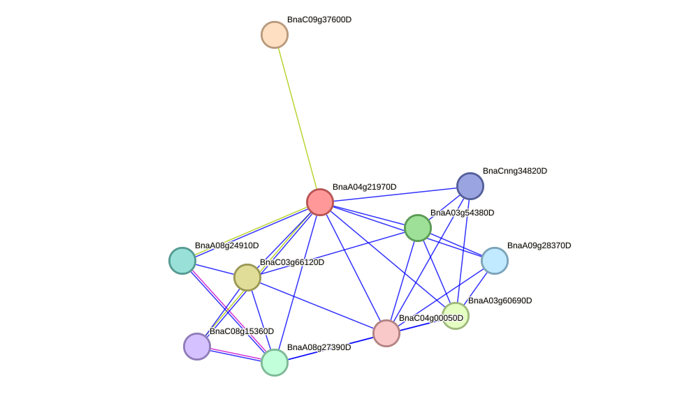 STRING protein interaction network