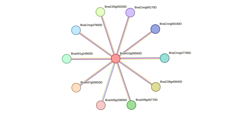 STRING protein interaction network