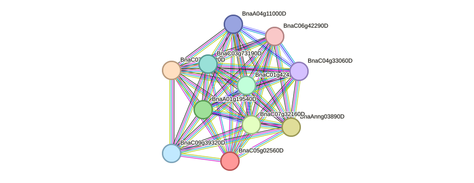 STRING protein interaction network