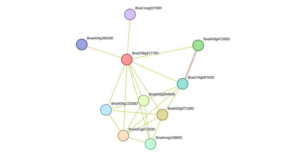 STRING protein interaction network