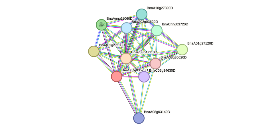 STRING protein interaction network