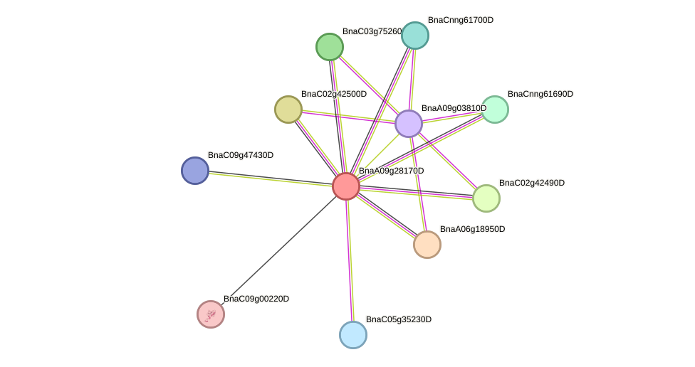 STRING protein interaction network