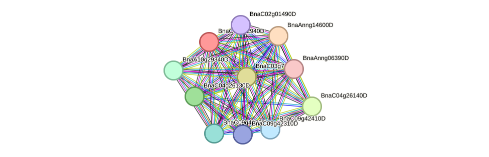 STRING protein interaction network