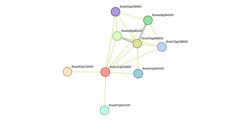 STRING protein interaction network