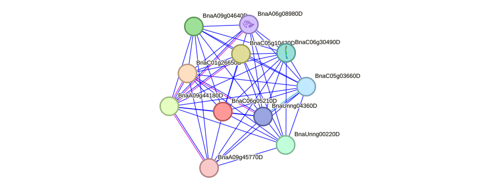 STRING protein interaction network