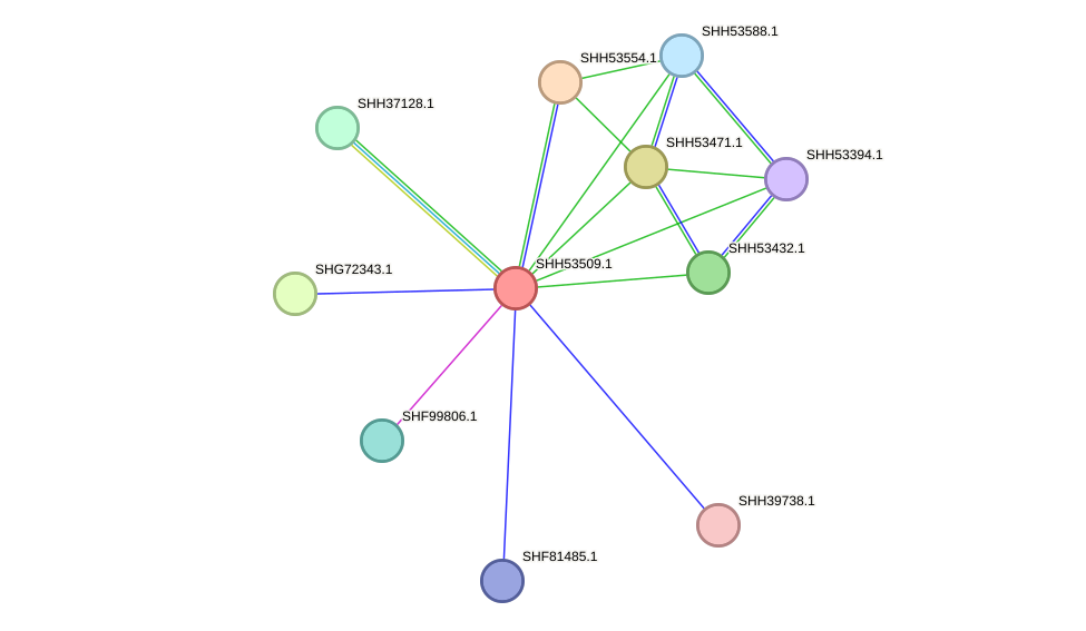 STRING protein interaction network