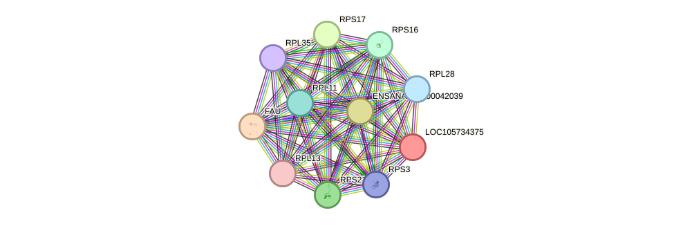 STRING protein interaction network