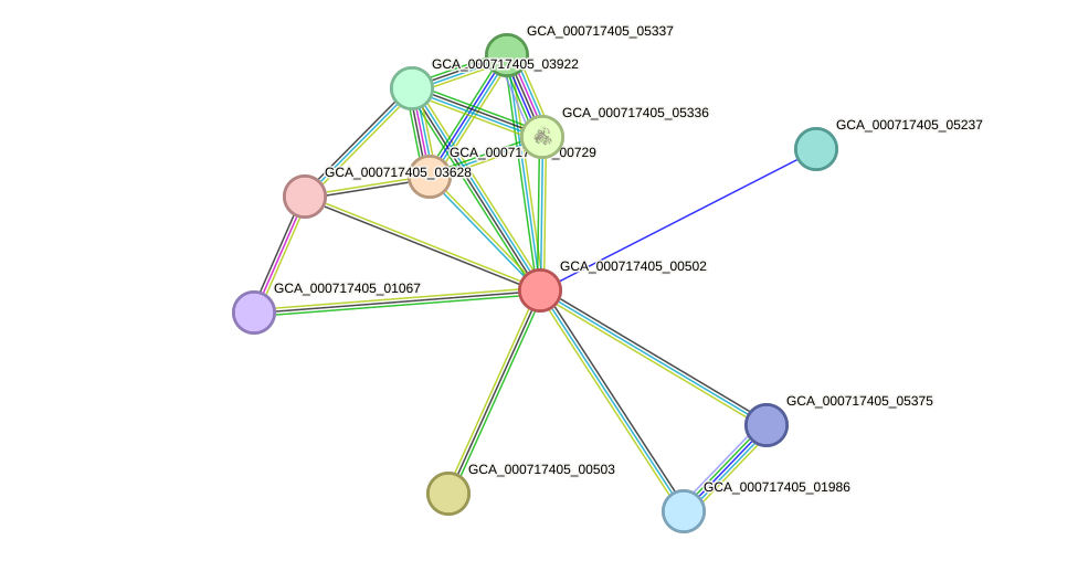 STRING protein interaction network