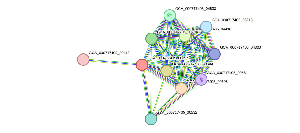 STRING protein interaction network