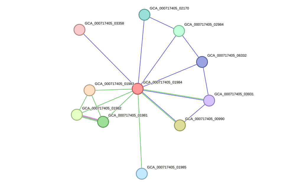 STRING protein interaction network