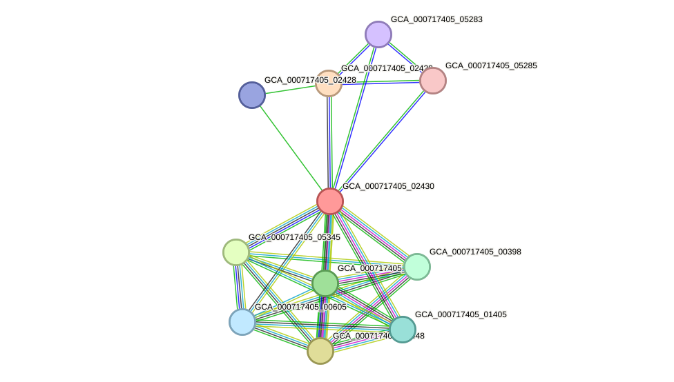 STRING protein interaction network