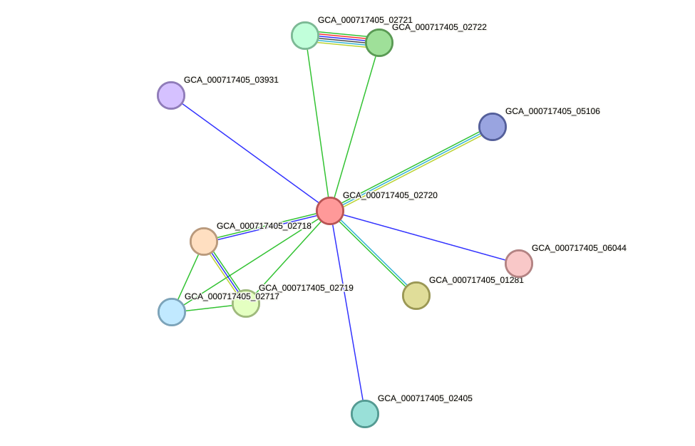 STRING protein interaction network