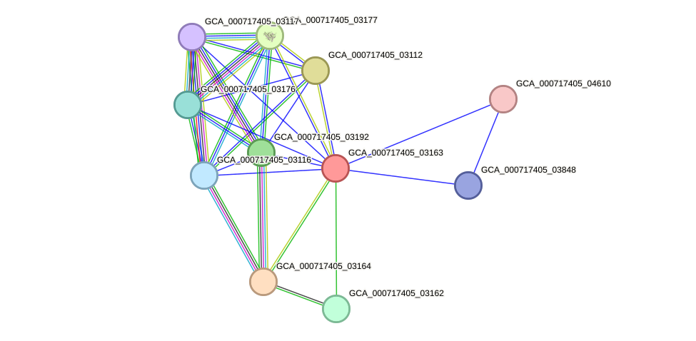 STRING protein interaction network