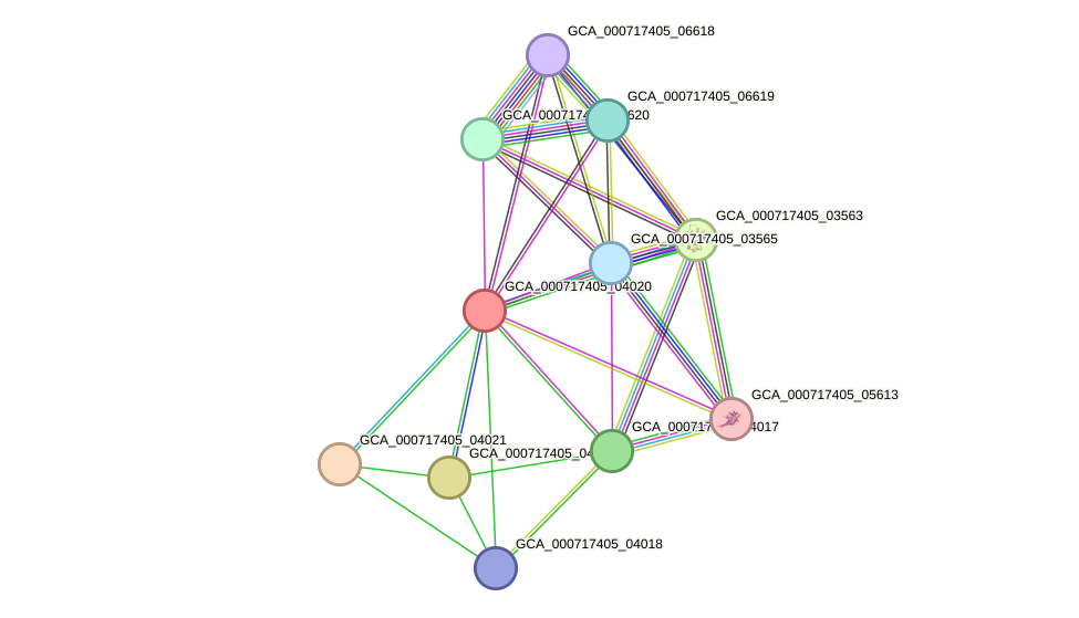 STRING protein interaction network