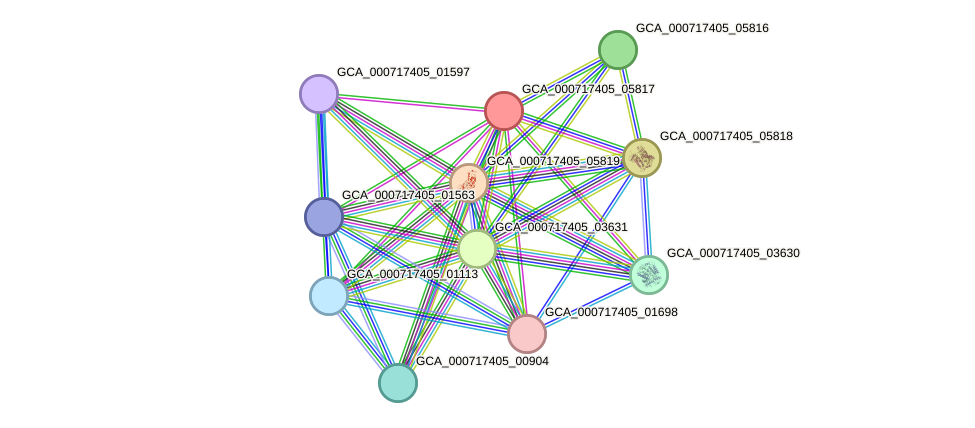 STRING protein interaction network