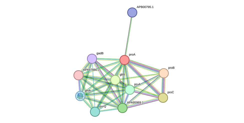 STRING protein interaction network