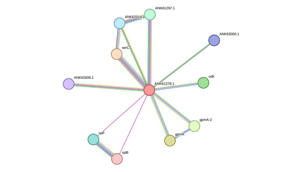STRING protein interaction network