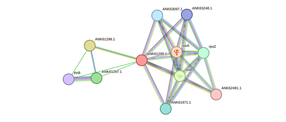 STRING protein interaction network