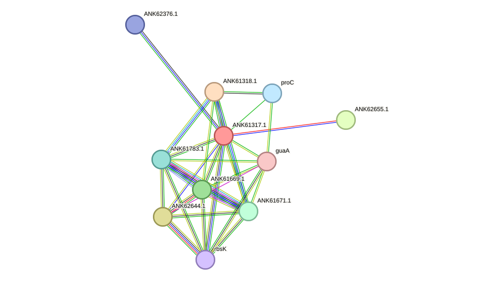 STRING protein interaction network