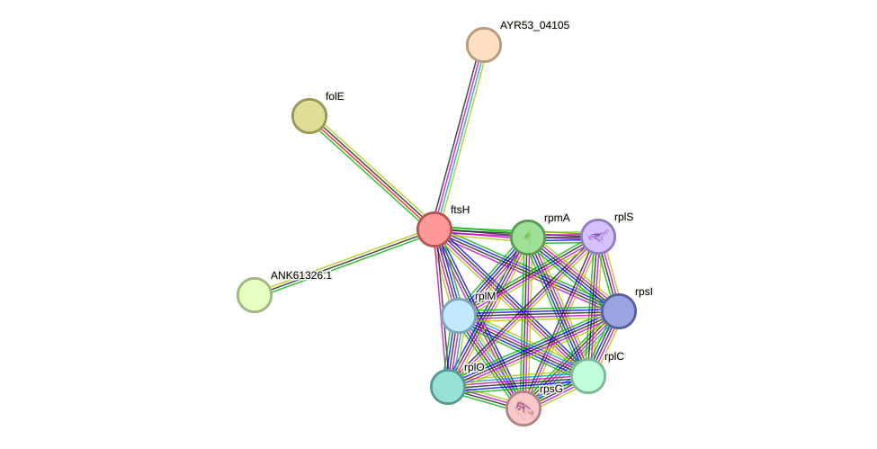 STRING protein interaction network