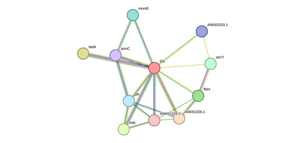 STRING protein interaction network