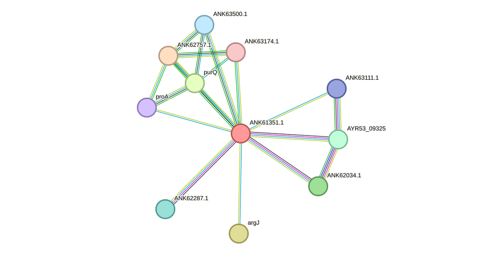 STRING protein interaction network